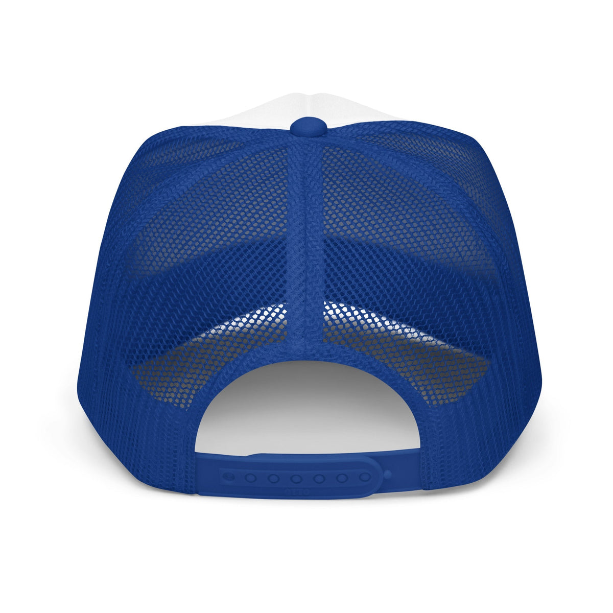 Flaunt It Proud Every Day unisex cap featuring a royal blue mesh back and adjustable plastic snap closure