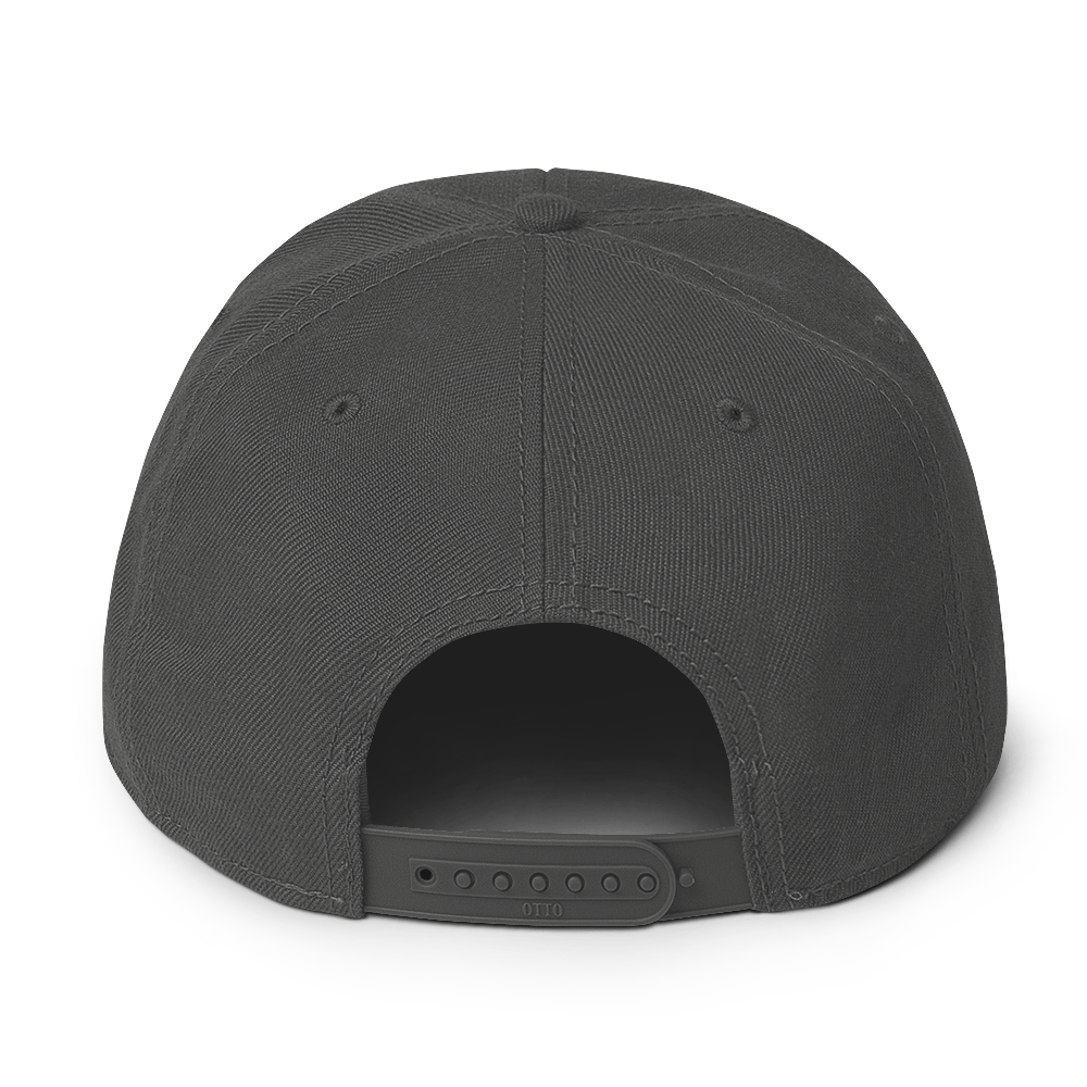 Flaunt It structured 6-panel snapback hat in charcoal grey with an adjustable plastic snap closure, back view.